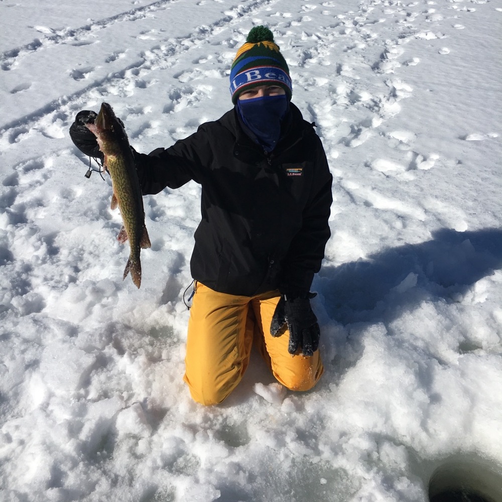 Meet your Posher, Beetle